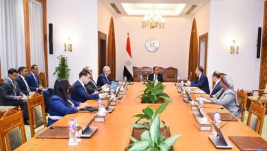 د. بدر عبد العاطي عبد العاطي يشدد على أهمية تعزيز الدور المصري في العمل الأفريقي المشترك والمحافل الاقليمية والقارية 6 574278747 1142520631391115 1846098464312172286 n