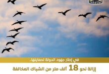 FB IMG 1761388425050