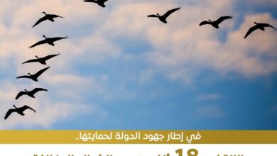 FB IMG 1761388425050