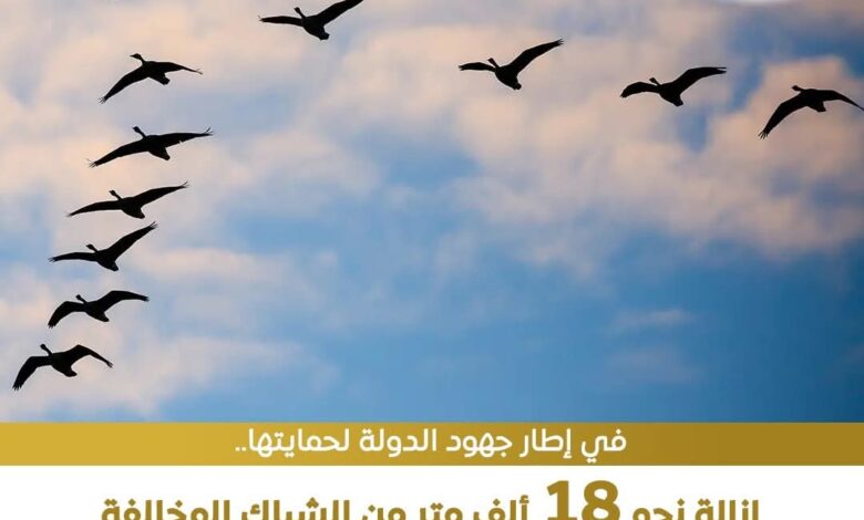 FB IMG 1761388425050