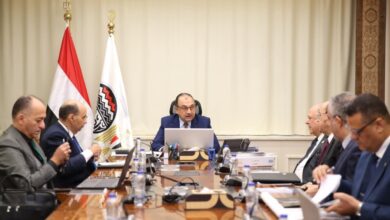 وزير قطاع الأعمال يشدد على القياس الدوري للانبعاثات الكربونية وتحسين كفاءة الأداء البيئي والإنتاجي للشركات التابعة 4 FB IMG 1761389088128