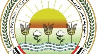 "الزراعة" : اليوم إنطلاق الحملة القومية لتحصين الماشية ضد الحمى القلاعية والوادي المتصدع لحماية الثروة الحيوانية 5 FB IMG 1761389311252