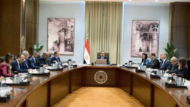 مدبولي يتابع موقف تنفيذ مشروعات الطاقة المُتجددة وربطها على الشبكة القومية للكهرباء 4 FB IMG 1761836512735