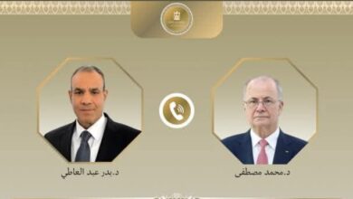اتصال هاتفي بين د. بدر عبد العاطي ورئيس الوزراء الفلسطيني للتحضير لمؤتمر التعافي المبكر وإعادة الإعمار في غزة 6 Screenshot ٢٠٢٥١٠١٧ ١٨٣٨٠٥
