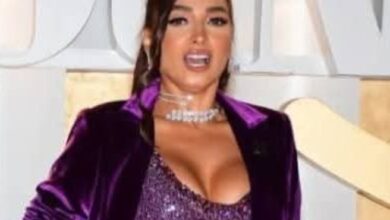 بمهرجان الحونة : روجينا تفاجئ جمهورها بإطلالة صارخة 6 Screenshot ٢٠٢٥١٠٢١ ١٠٥٢٣٥