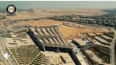 مصر على أعتاب لحظة تاريخية جديدة 2 Screenshot ٢٠٢٥١١٠١ ١٩٢٩١٥