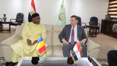 مصر وتشاد يبحثان خارطة طريق لتعزيز الاستثمار المشترك في الثروة الحيوانية 2 582537837 1401726631997753 8746831260019683026 n
