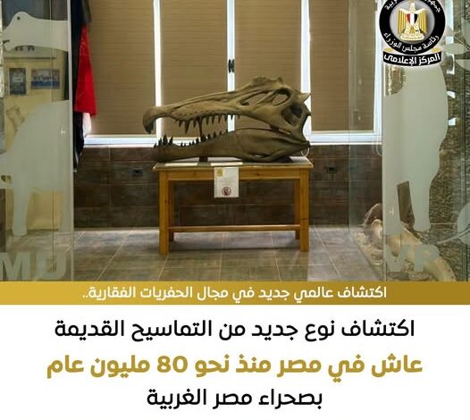 اكتشاف نوع جديد من التماسيح عاش في مصر 80 مليون عام بالصحراء الغربية 1 586111437 1407967658040317 1010158508210847669 n