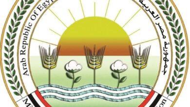 فيديو مزيف لدولة أخرى .."الزراعة" تنفي صحة فيديو حالات نفوق الماشية المتداول على وسائل التواصل الاجتماعي 2 FB IMG 1762543092704