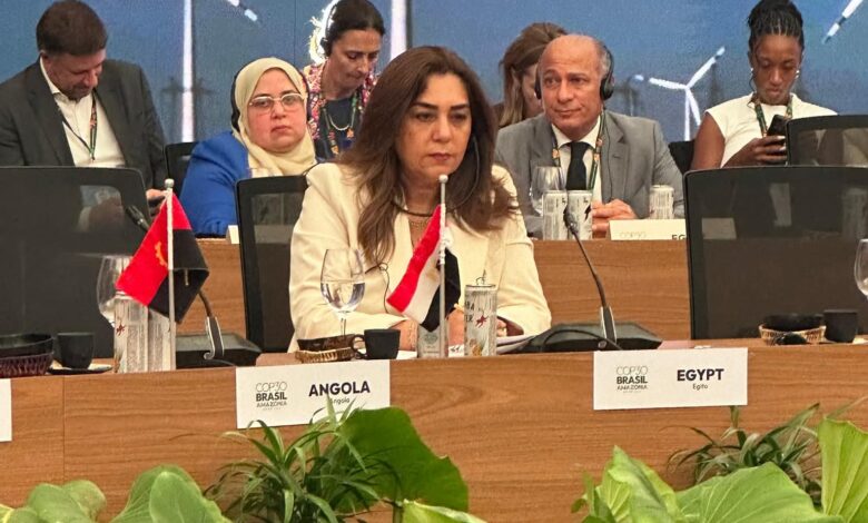 د.منال عوض: نواجه تحديات أبرزها ارتفاع تكلفة التحول، وعدالة الانتقال في الطاقة، ونقل التكنولوجيا وبناء القدرات 1 FB IMG 1762592686559