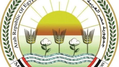 قبل دخول الشتاء..الزراعة تطلق حملات توعوية مكثفة لتعزيز الأمن الحيوي في قطاع الدواجن المصري 3 FB IMG 1763801639985