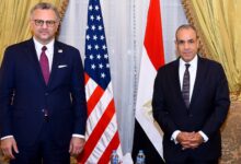 وزير الخارجية المصري