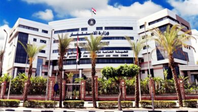 الهيئة العامة للاستثمار والمناطق الحرة تعلن عن إطلاق الدليل الإرشادي للحافز الاستثماري النقدي لدعم المشروعات الصناعية في مصر 2 594387665 1419834010187015 1337810719910781605 n