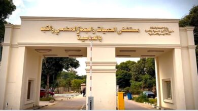 الصحة: قدمت 19.2 مليون خدمة طبية بالمنشآت الطبية في محافظة القاهرة 3 600330068 1425591319611284 1550614181420118001 n