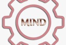 603854245 1434073645429718 5265082851662804483 n 1