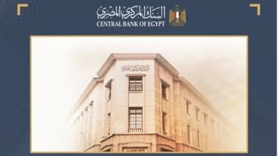 البنك المركزي .. تحويلات المصريين تسجل 33.9 مليار دولار من يناير لاكتوبر 2025 5 666