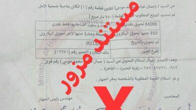جهاز العبور الجديدة يكشف سر المستند المزور ويحذر مروجيه 3 FB IMG 1764939647771