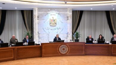 مجلس الوزراء يُوافق على استكمال إجراءات طرح محطات توليد الكهرباء بجبل الزيت 6 FB IMG 1765371783993