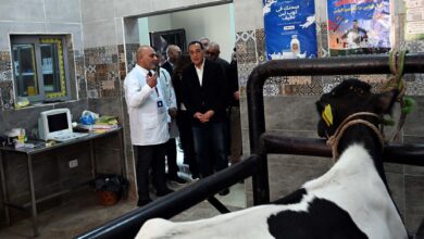 رئيس الوزراء يتفقد الوحدة البيطرية بقرية "نوى" ضمن مشروعات المبادرة الرئاسية "حياة كريمة" بالقليوبيةري 5 FB IMG 1765619843986