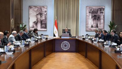 مدبولي : ملف تصدير العقار يمثل أولوية للحكومة باعتباره قاطرة حيوية لدعم الاقتصاد 6 FB IMG 1765898259411