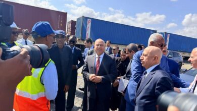 نائب رئيس الوزراء يفتتح محطة الطاقة الشمسية بجيبوتي بحضور رئيس الأكاديمية العربية 6 FB IMG 1766858466483