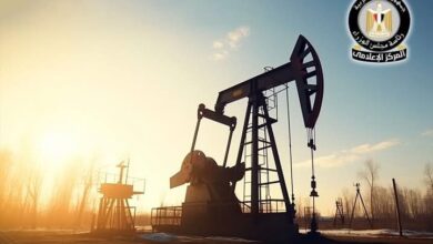 البترول : شركة عجيبة تنتج 32 الف برميل يوم في أعلى معدل إنتاج منذ 3 سنوات بالشراكة مع ابني 5 Screenshot ٢٠٢٥١٢٣١ ١٠٣٦٣٢