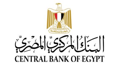 42.5% زيادة في تحويلات المصريين العاملين بالخارج خلال الفترة يناير/نوفمبر من عام 2025 9 608138581 1443707554466327 525564033862550262 n