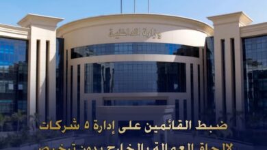 بجوازات سفر وهواتف محمول .. ضبط 5 شركات وهمية لتسفير العمالة للخارج بالدقهلية والغربية 5 622678406 3828066360828112 2572141405228733238 n