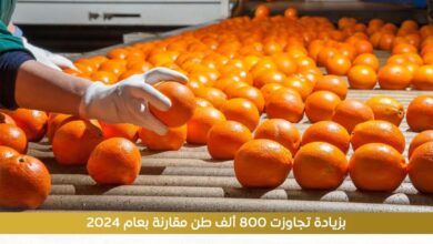 FB IMG 1769070574360