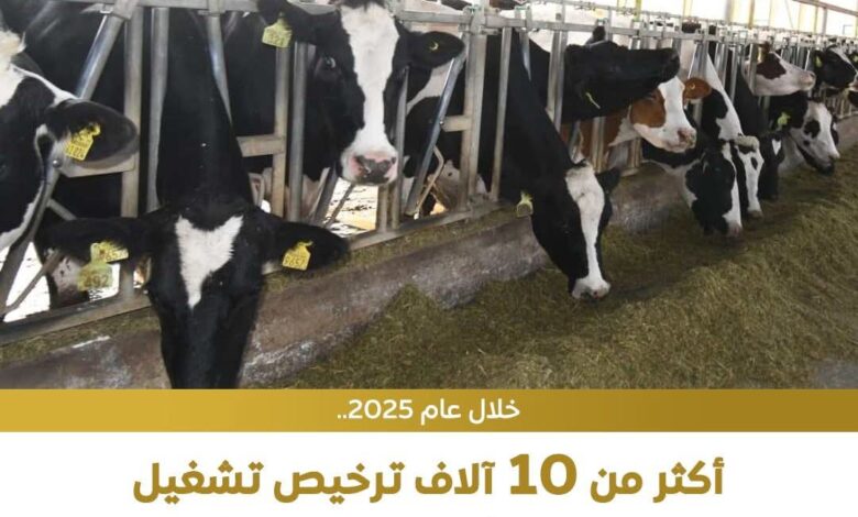 خلال عام 2025..10870 ترخيص تشغيل، ما بين تجديد وأول مرة لكافة أنشطة ومشروعات الثروة الحيوانية والعلفية والداجنة ومراكز تجميع الألبان 1 FB IMG 1769285719442