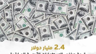 البنك المركزي: 2.4 مليار دولار حجم الاستثمارات الأجنبية الغير بترولية خلال الربع الأول من عام 2026/2025 5 FB IMG 1769678186021