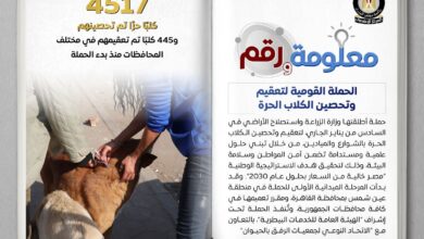 الزراعه تطلق الحملة القومية لتعقيم وتحصين الكلاب الحرة 2 FB IMG 1769794211526
