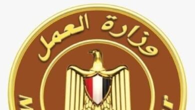 وزارة العمل : تحرير 280 محضرًا لمخالفات تطبيق الحد الأدنى للأجور.. و89 محضرًا لمخالفات عقود العمل 5 Screenshot ٢٠٢٦٠١٠٨ ١١٢٧٢١