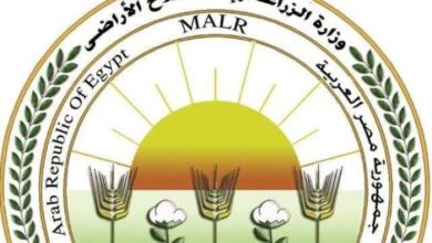 «الزراعة» تحذر من صفحات وهمية تروج لبيع منتجاتها عبر مواقع الإنترنت وصفحات التواصل الاجتماعي 6 Screenshot ٢٠٢٦٠١٢٤ ١٢٤٤٣٨
