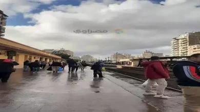 حالة الطقس.. الأرصاد تحذر: برودة شديدة وأمطار على السواحل الشمالية تصل للقاهرة 4 2021 2 7 7 23 29 853