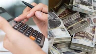 شروط الحصول على تمويل من جهاز تنمية المشروعات الصغيرة والمتوسطة 6 20260215155406093