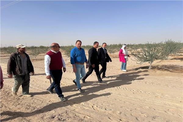 نائب محافظ شمال سيناء يتفقد مركز خدمات النثيلة 1 20260218103106661