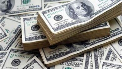 سعر الدولار الأمريكي أمام الجنيه المصري خلال تعاملات اليوم 20 فبراير 2026 4 20260220110621507