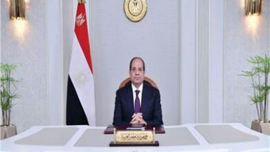 مفتي الجمهورية يهنئ الرئيس السيسي بذكرى انتصارات العاشر من رمضان 6 20260227145921239