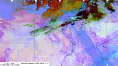 6 نصائح عاجلة من الأرصاد للتعامل مع نشاط الرياح المثيرة للأتربة 2 2026 2 13 11 27 51 373