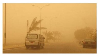 ارتدوا الكمامة.. الأرصاد: أجواء مغبرة وأتربة خلال ساعات 3 2026 2 2 8 5 57 318