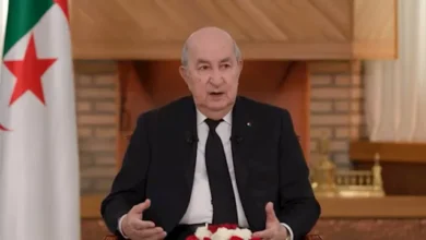 رئيس الجزائر: السيسي أخ بالنسبة لى والجيش المصري أول من ساعدنا في 1963 6 2026 2 8 10 7 42 653
