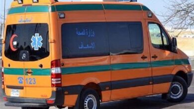 مصرع شاب أثناء عبوره مزلقان السكة الحديد بشبين القناطر 3 406