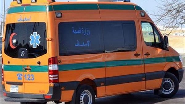 مصرع شاب أثناء عبوره مزلقان السكة الحديد بشبين القناطر 1 406