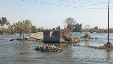 وزير الري : تنفيذ ٣٩ حالة إزالة لأساسات خرسانية لمبانى مخالفة بالجيزة 3 5e751b11 d6eb 4ecc 944a 1f8bab6d3f03
