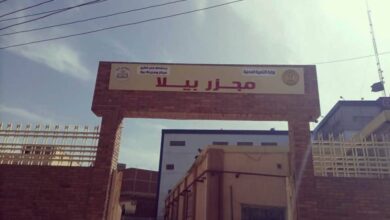 د.منال عوض تعلن التشغيل التجريبي لمجزر بيلا بكفر الشيخ بتكلفة 23 مليون جنيه 3 628266942 1474460358057713 6850685520751400409 n 1
