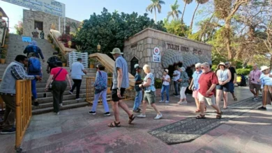 225 سائحا أجنبيا و1550 زائرًا مصريًا للحديقة النباتية بأسوان في ثالث أيام العيد 4 1690865