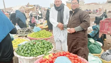 «الطماطم بـ45 جنيه» في المحافظات.. جنون الأسعار يضرب الأسواق 3 1702288