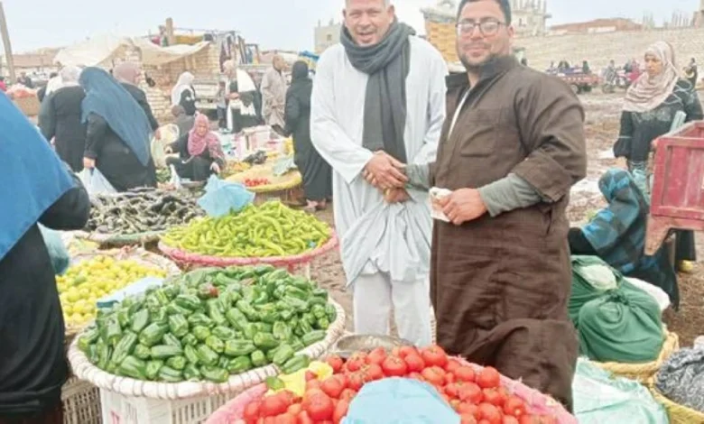 «الطماطم بـ45 جنيه» في المحافظات.. جنون الأسعار يضرب الأسواق 1 1702288