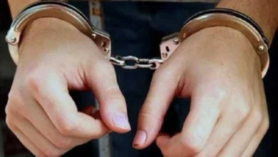 استعراض خطر فى حفل زفاف.. ضبط قائد سيارة لأدائه حركات متهورة بالجيزة 4 1702349